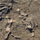 Illustration for article titled An archaeological first: sixteen severed hands found buried in ancient Egyptian city